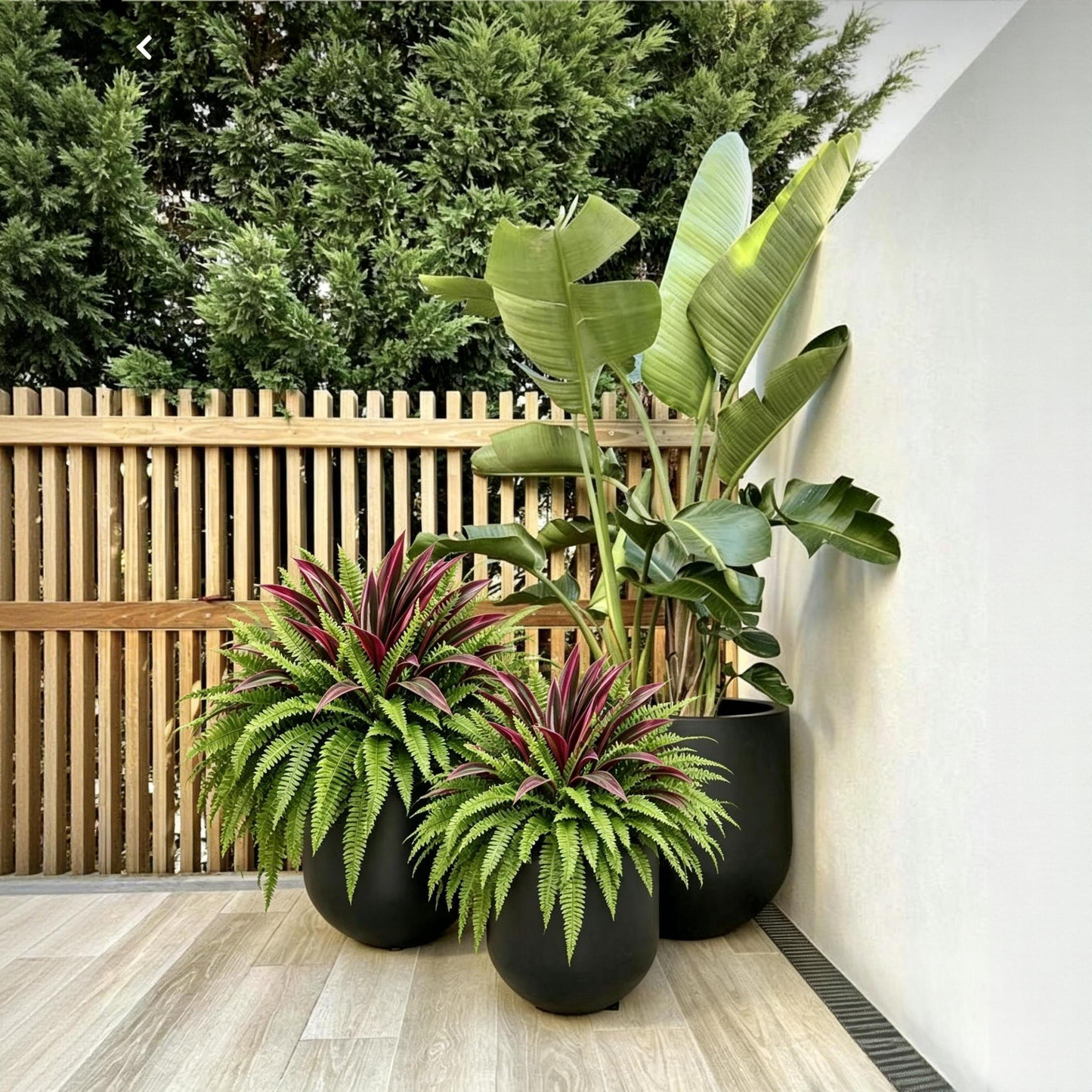 💥Summer Special🔥Large UV-Resistant Artificial Fern & Red Dracaena Decorative Plants – Full, Lush & Fade-Resistant!