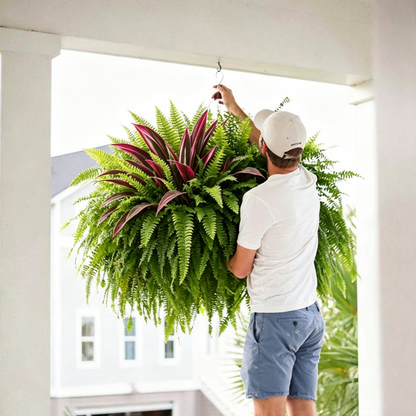 💥Summer Special🔥Large UV-Resistant Artificial Fern & Red Dracaena Decorative Plants – Full, Lush & Fade-Resistant!