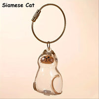Siamese Cat