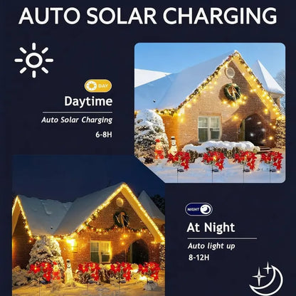 🎉🎉Solar Christmas tree lights