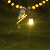 kingfisher