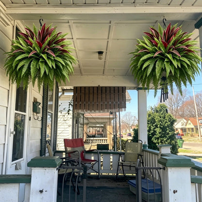 💥Summer Special🔥Large UV-Resistant Artificial Fern & Red Dracaena Decorative Plants – Full, Lush & Fade-Resistant!
