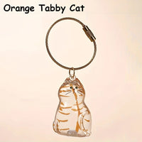 Orange Tabby Cat