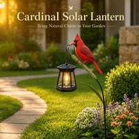 🔥🔥Cardinal