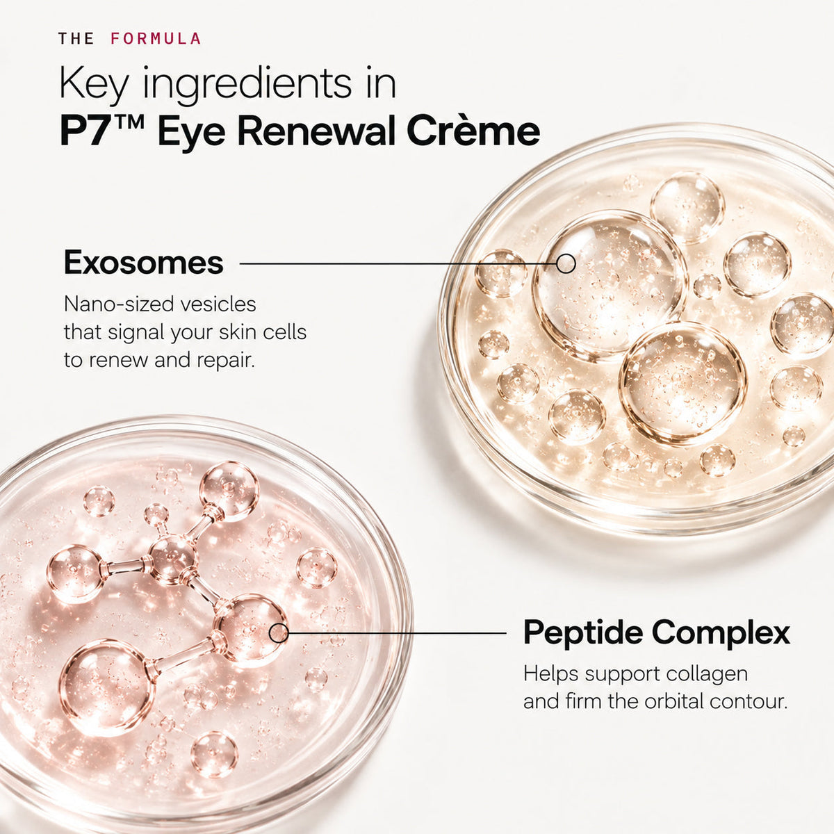 P7 Eye Renewal Creme formula ingredients